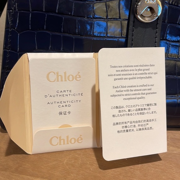 CHLOE' ABY Day Croc Embossed Medium Bag - Picture 15 of 15